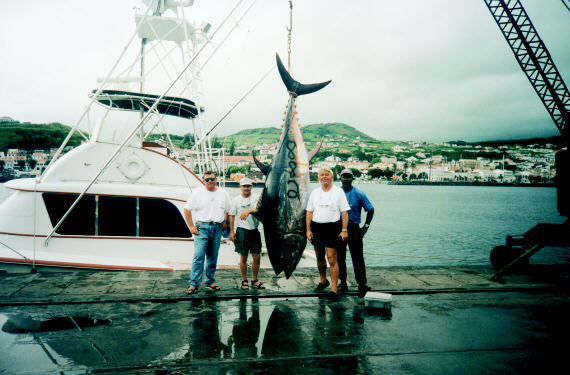 Giant bluefin tuna photo - 882 lbs - Azores