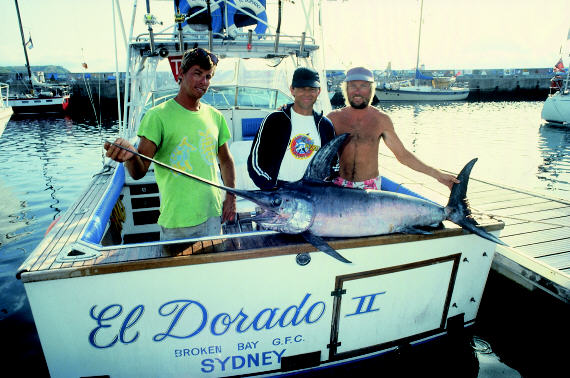 photo of swordfish - about 150 lbs - Azores