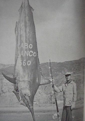 black marlin photo - world record 1560 lbs - Albert Glassell