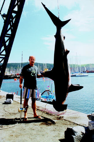photo of world record smooth hammerhead shark - 363 lbs - Azores