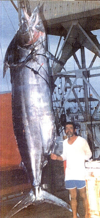 2200__bluemarlin_okinawa_handline.jpg