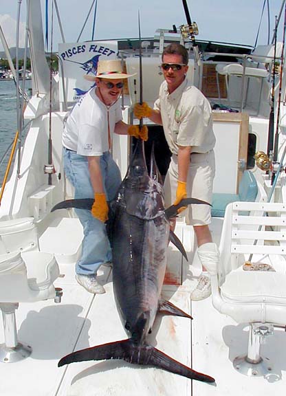 photo of swordfish - 290 lbs. - Cabo