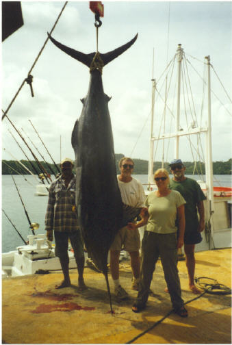 Photo of 455 lb Pacific blue marlin caught by Cyd Nielsen in Tonga