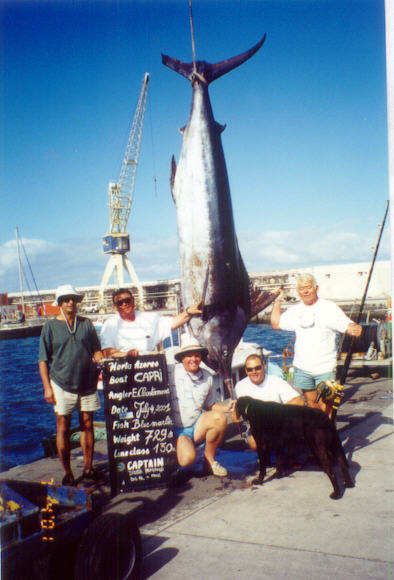 Photo of the winner of the 2001 World Cup 729 lbs - Capri from the Azores