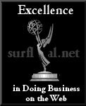 Excellence in Web Business Silver Award - January 23, 2002