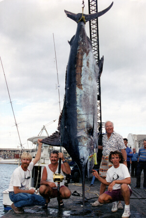 Photo of world record Atlantic blue marlin - 1189 lbs - Azores