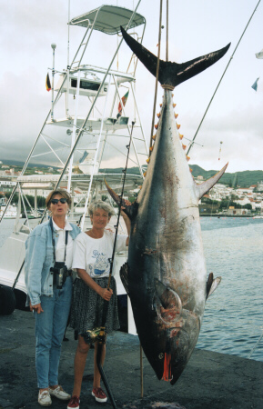 Giant bluefin tuna photo - 644 lbs - Azores