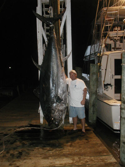 1152 lb. bluefin tuna caught by Ron Roland - Gulf of Mexico 2003