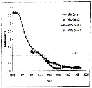 graph showing western North Atlantic bluefin tuna population decline