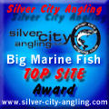 Silver City Web Site Award - December 2, 2001