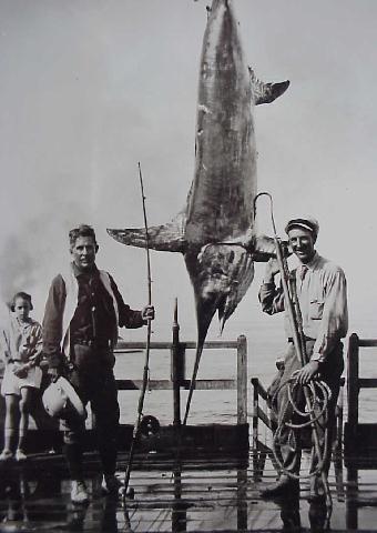 photo of Zane Grey and large swordfish - Catalina Island