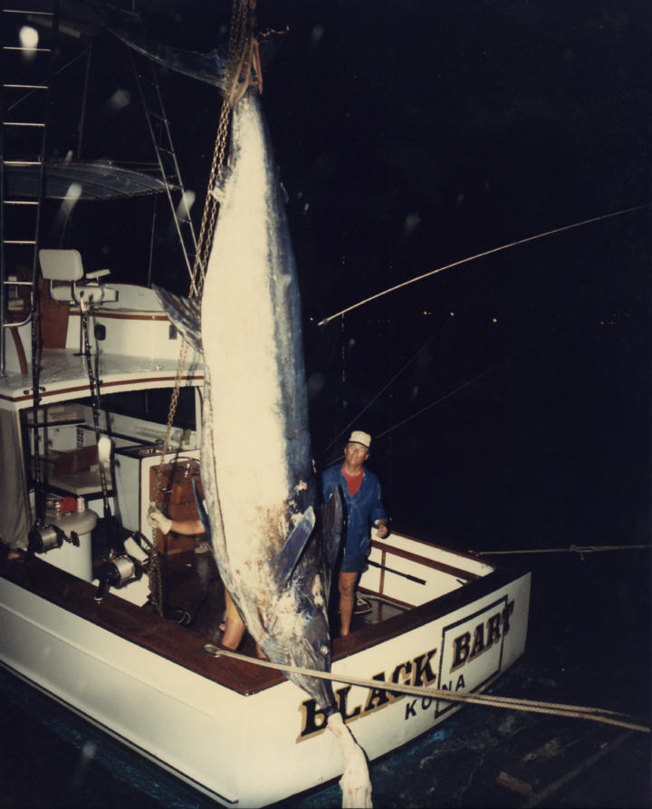 Blue marlin photo - 1265 lbs - Kona, Hawaii
