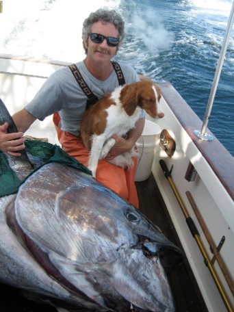 850 lb giant bluefin caught by Capt. Gary Cannell on Tuna Hunter