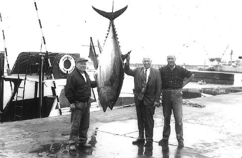 World record bigeye tuna photo - 295 lbs - Azores