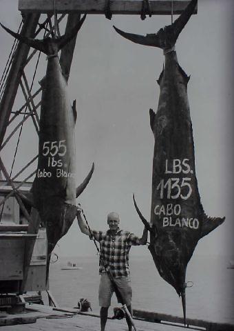 Photo of huge black marlin (1135 and 555 lbs) caught on the same day by Kip Farrington - Cabo Blanco, Peru