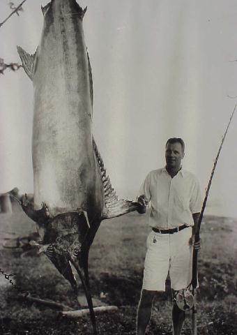 Pacific blue marlin photo