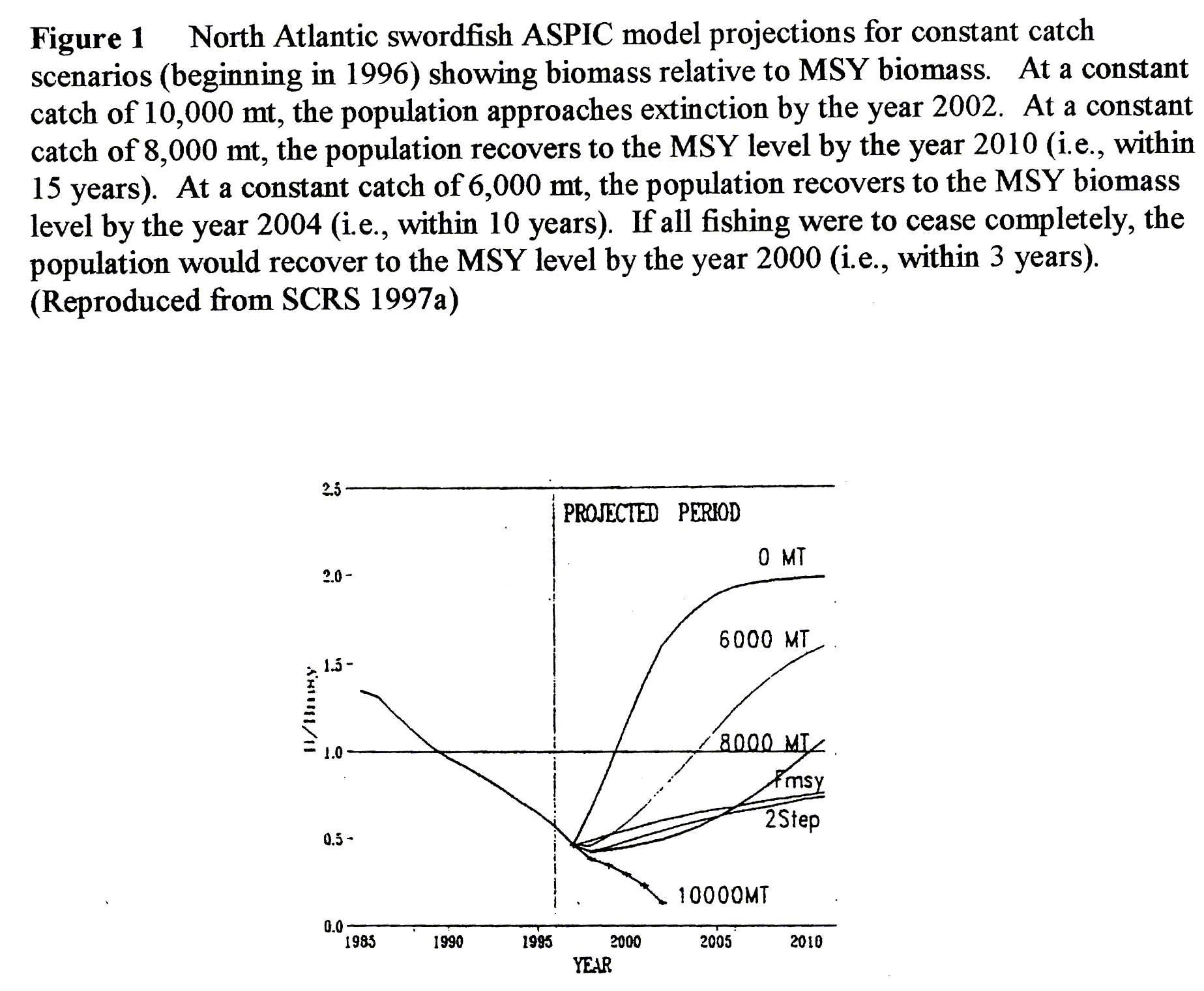 graph showing recovery possibilities (at various catch rates) for North Atlantic swordfish (ICCAT/SCRS)