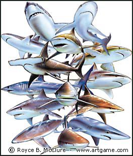 sharks of the world